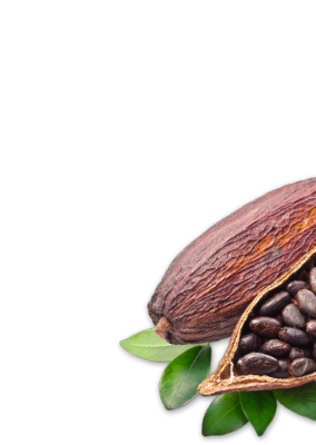 cacao