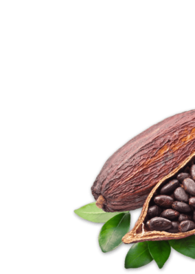 cacao_PNG20-1-e1605773509115