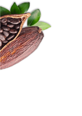 cacao_PNG202-1